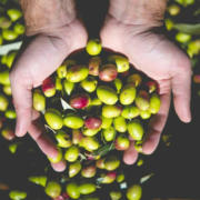 Bastide du Laval "Tradition" Olive Oil - Image 2